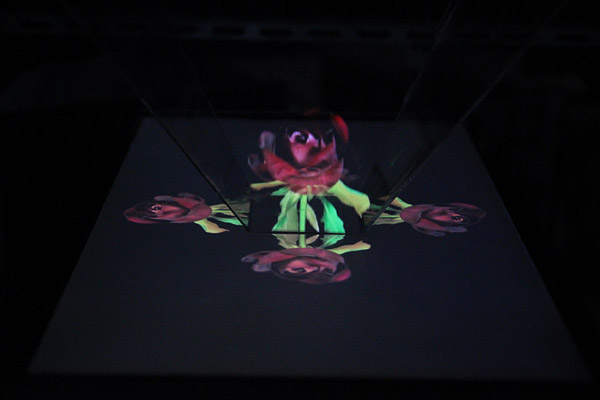 3D Image Videos